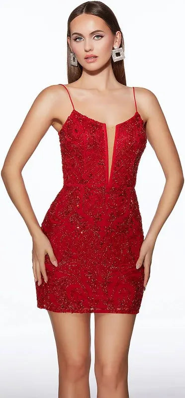Alyce Paris 40112