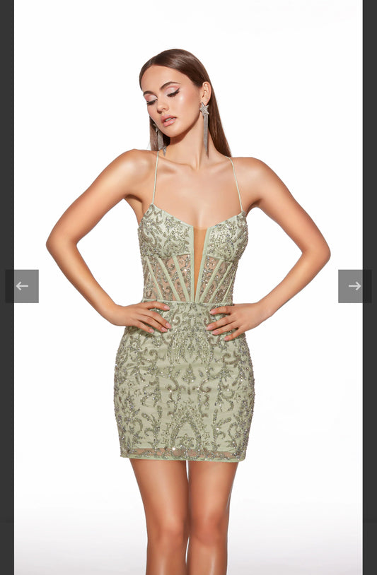 Alyce Paris 40053