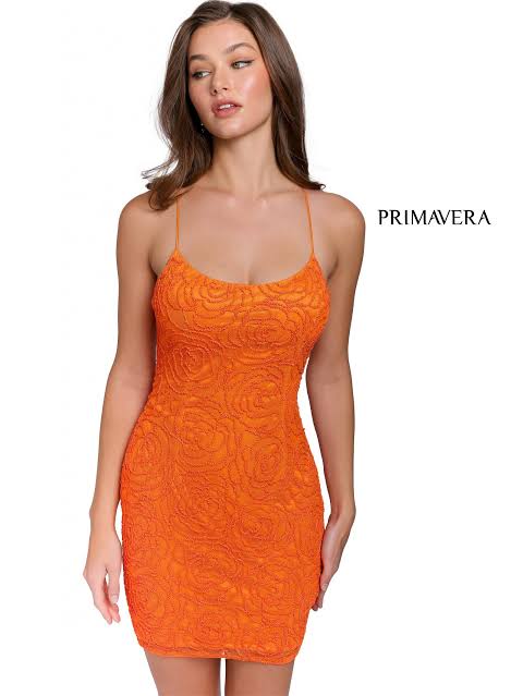 Primavera 3558